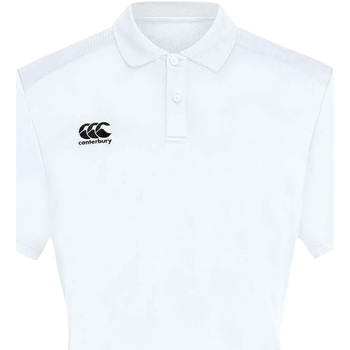 textil Herre T-shirts & poloer Canterbury CN263 Hvid