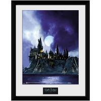 Indretning Fotorammer Harry Potter TA7615 Flerfarvet