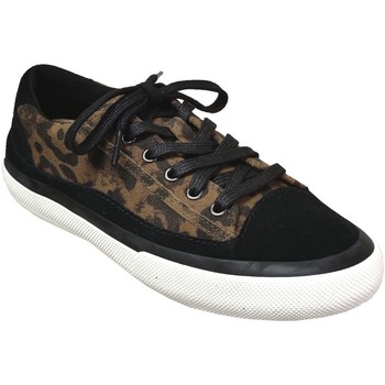 Sko Dame Lave sneakers Clarks Aceley lace Brun