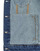 textil Dame Cowboyjakker Desigual CHAQ_OLIMPIA Grå / Marmoreret / Blå / Jeans