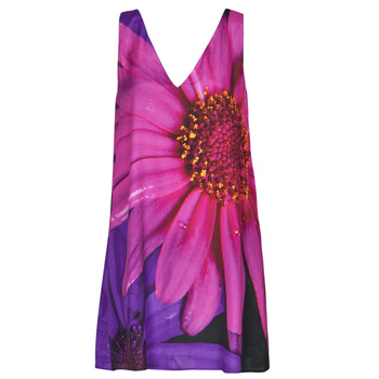 textil Dame Korte kjoler Desigual VEST_LOLO Pink / Violet