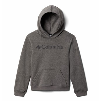 textil Dreng Sweatshirts Columbia COLUMBIA TREK HOODIE Grå