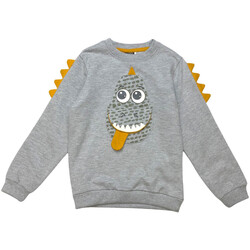 textil Børn Sweatshirts Losan 125-6007AL Grå