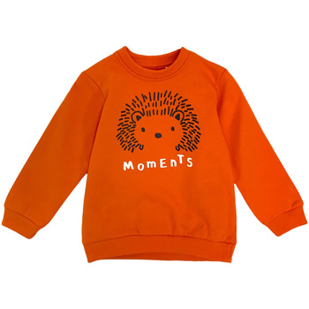 textil Børn Sweatshirts Losan 127-6650AL Orange