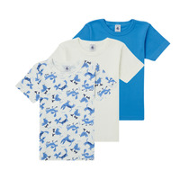 textil Dreng T-shirts m. korte ærmer Petit Bateau ADRIAN Flerfarvet