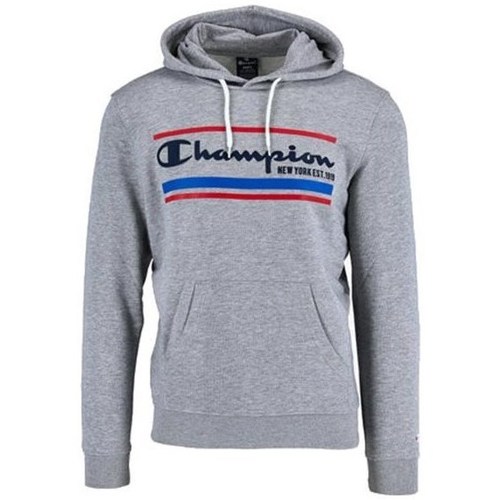 textil Herre Sweatshirts Champion Hooded Sweatshirt Grå