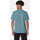 textil Herre T-shirts & poloer Dickies M franky ss graphic tee Grøn