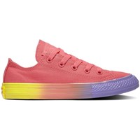 Sko Børn Lave sneakers Converse Chuck Taylor All Star Lilla, Pink, Gul