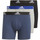 Undertøj Herre Trunks adidas Originals adidas Logo Boxer Briefs 3 Pairs Sort