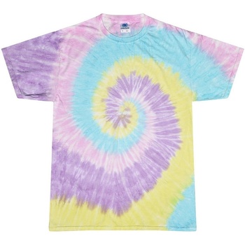 textil Dame T-shirts m. korte ærmer Colortone Rainbow Flerfarvet