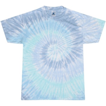textil Dame T-shirts m. korte ærmer Colortone Rainbow Blå