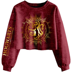 textil Dame Sweatshirts Harry Potter  Flerfarvet
