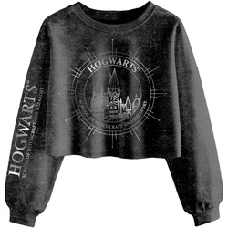 textil Dame Sweatshirts Harry Potter  Sort