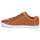 Sko Herre Lave sneakers Fred Perry BASELINE LEATHER Brun