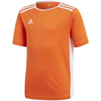 textil Dreng T-shirts m. korte ærmer adidas Originals Entrada 18 Orange