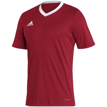 textil Herre T-shirts m. korte ærmer adidas Originals Entrada 22 Rød