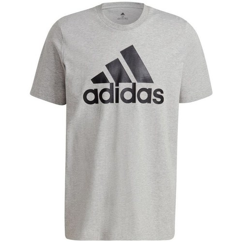 textil Herre T-shirts m. korte ærmer adidas Originals Essentials Big Logo Grå