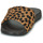 Sko Dame badesandaler FitFlop IQUSHION Leopard / Sort