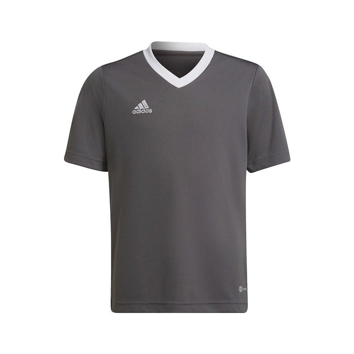textil Dreng T-shirts m. korte ærmer adidas Originals Entrada 22 Jsy Grå