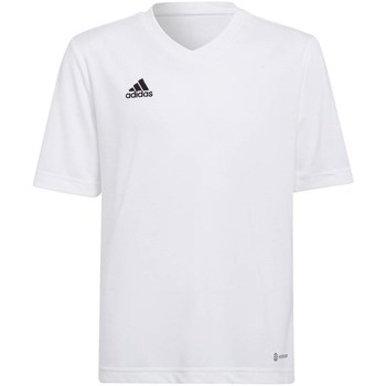 textil Dreng T-shirts m. korte ærmer adidas Originals Entrada 22 Jsy Hvid