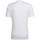 textil Herre T-shirts m. korte ærmer adidas Originals Entrada 22 Hvid