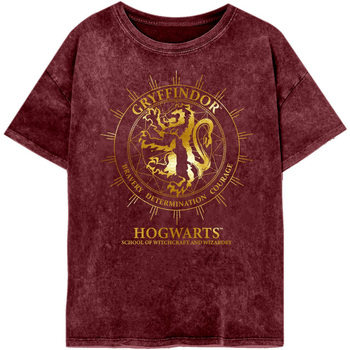 textil Dame Langærmede T-shirts Harry Potter  Flerfarvet