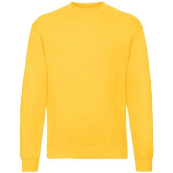 textil Sweatshirts Fruit Of The Loom SS9 Flerfarvet
