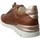 Sko Dame Lave sneakers Pikolinos W4r-6584 Brun