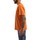 textil Herre T-shirts m. korte ærmer Dickies DK0A4XNYC381 Orange