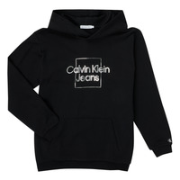 textil Pige Sweatshirts Calvin Klein Jeans METALLIC BOX LOGO RELAXED HOODIE Sort