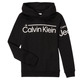 INSTITUTIONAL LINED LOGO HOODIE