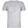 textil Herre T-shirts m. korte ærmer Invicta 4451241 / U Grå