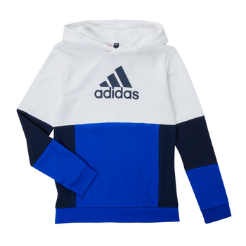 textil Dreng Sweatshirts Adidas Sportswear HG6826 Flerfarvet