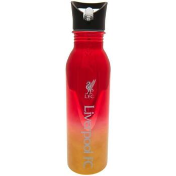 Accessories Sportstilbehør Liverpool Fc  Flerfarvet