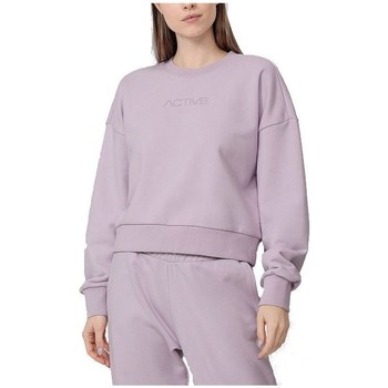textil Dame Sweatshirts 4F BLD023 Pink