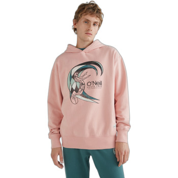 textil Herre Sweatshirts O'neill Sweatshirt  O'riginal Pink
