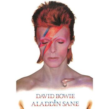 Indretning Skilte og plakater David Bowie TA8336 Flerfarvet