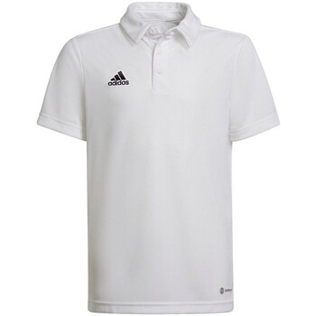 textil Dreng T-shirts m. korte ærmer adidas Originals Entrada 22 Hvid