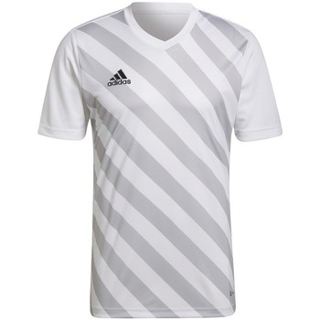 textil Herre T-shirts m. korte ærmer adidas Originals Entrada 22 Hvid, Grå