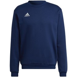 textil Herre Sweatshirts adidas Originals Entrada 22 Sweat Top Marineblå