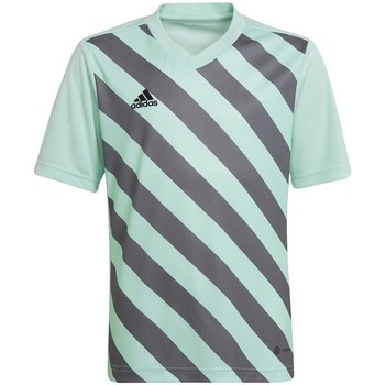 textil Dreng T-shirts m. korte ærmer adidas Originals Entrada 22 Graphic Jersey Grøn, Grå