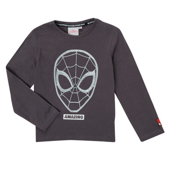 textil Dreng Langærmede T-shirts TEAM HEROES  T-SHIRT SPIDER-MAN Grå
