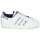 Sko Dame Lave sneakers adidas Originals SUPERSTAR W Hvid / Sort