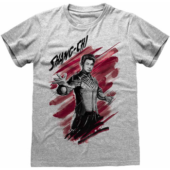 Langærmede T-shirts Shang-Chi And The Legend Of The  -