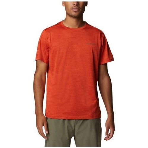 textil Herre T-shirts m. korte ærmer Columbia Alpine Chill Zero Rød