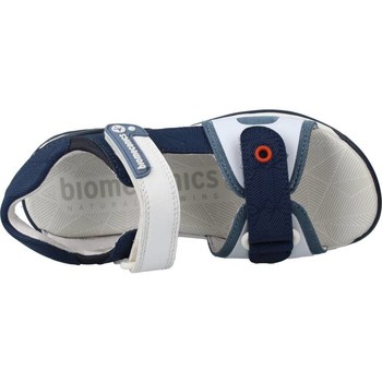 Biomecanics 222263B Blå