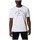 textil Herre T-shirts & poloer Columbia M GRAPHIC SS TEE BLANC Hvid