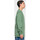 textil Herre Sweatshirts Santa Cruz Opus dot stripe crew Grøn