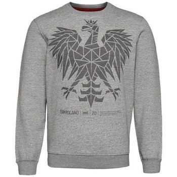 textil Herre Sweatshirts Monotox Eagle CN Grå