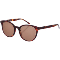 Ure & Smykker Solbriller Zen Z471-C02 Flerfarvet